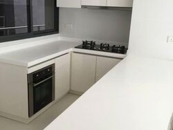 Sky Green (D13), Condominium #583848731